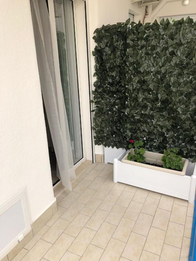 باليرمو B&B Bellavista المظهر الخارجي الصورة